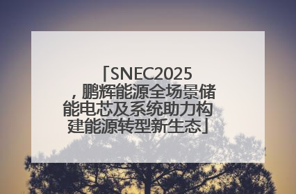 SNEC2025，鹏辉能源全场景储能电芯及系统助力构建能源转型新生态