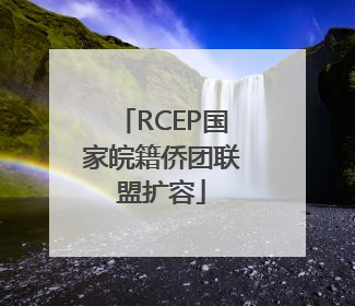 RCEP国家皖籍侨团联盟扩容